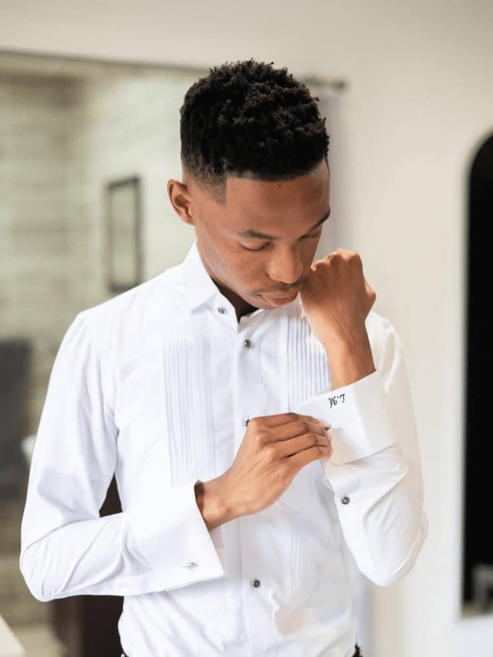 White Pleated Wingtip Collar Dress Shirt